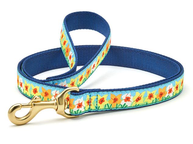 Dog Collars: 1